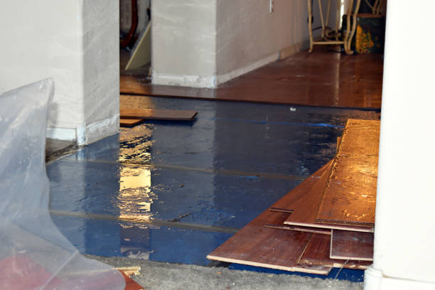 Professional Emergency Water Damage Restoration technician working in Cardiff By The Sea, CA